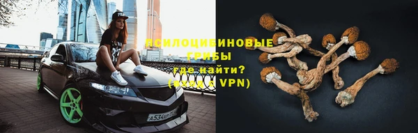 винт Богородицк