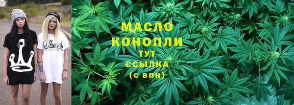 молекула духа Богородск