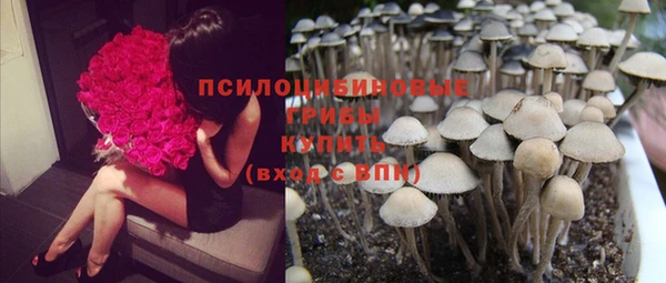 кокаин колумбия Белокуриха